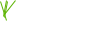 Brezza Logo